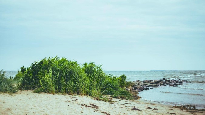 banner1